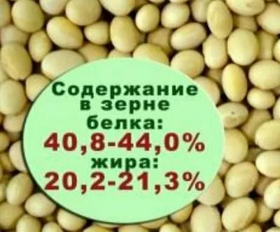семена сои виктория в Белгороде и Белгородской области 3